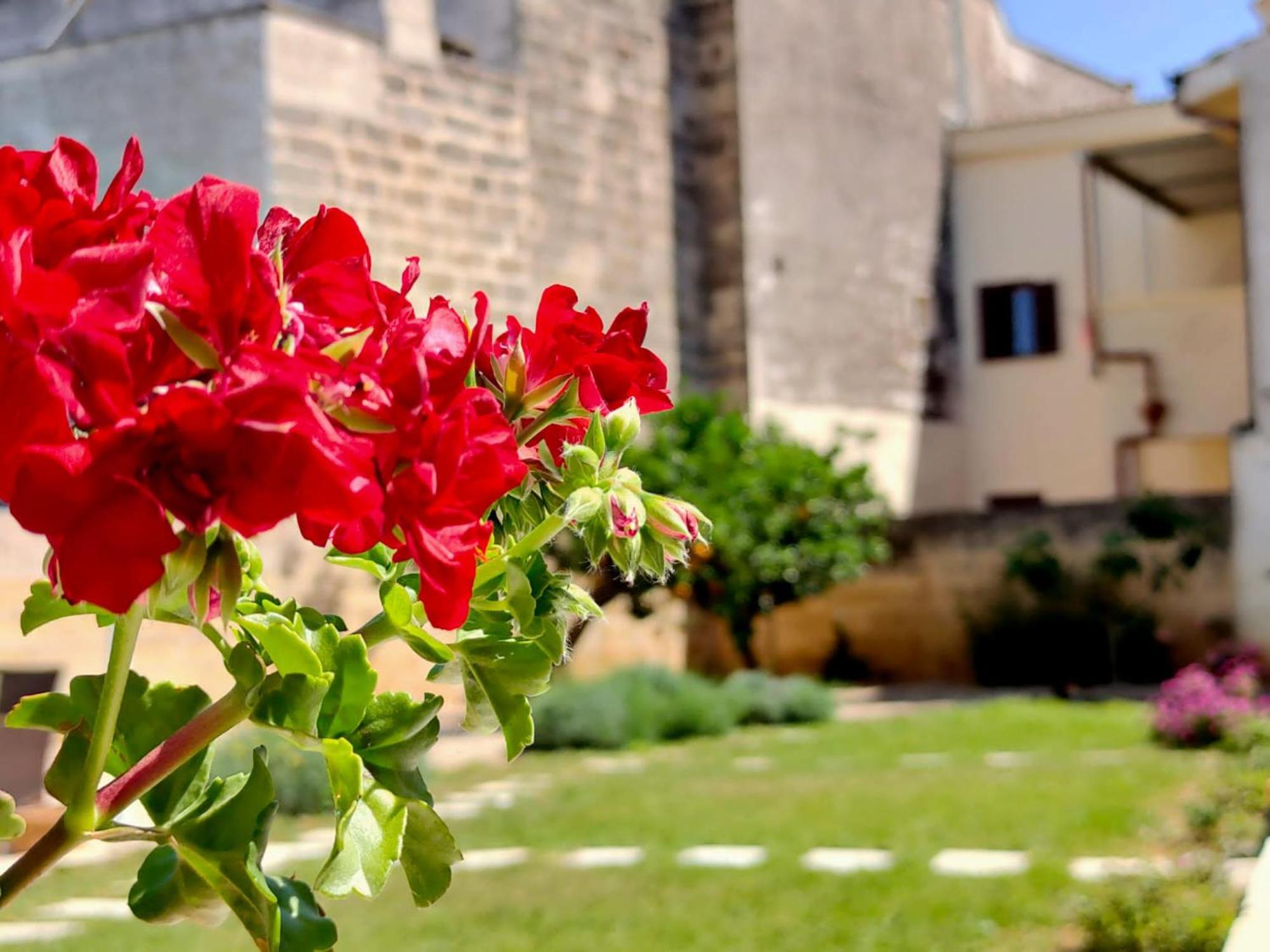 Corte Mercurio B&B Ugento Exterior photo
