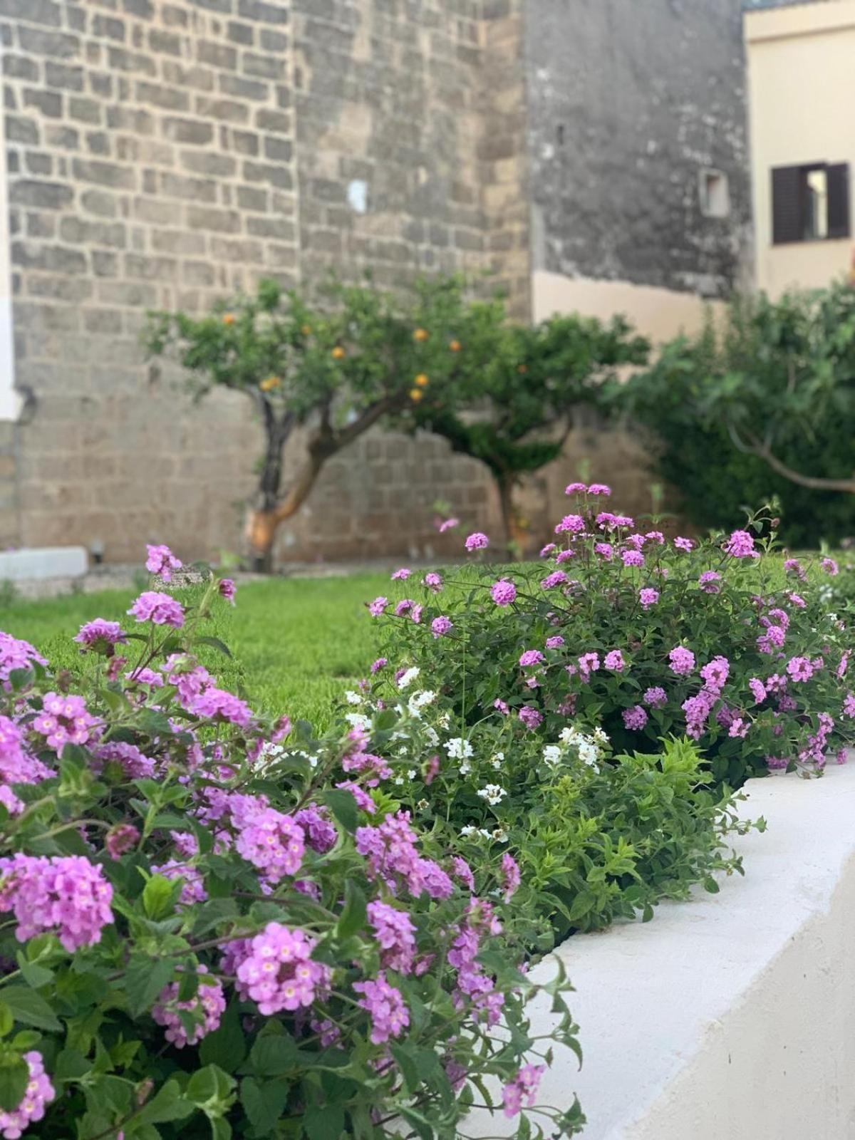 Corte Mercurio B&B Ugento Exterior photo